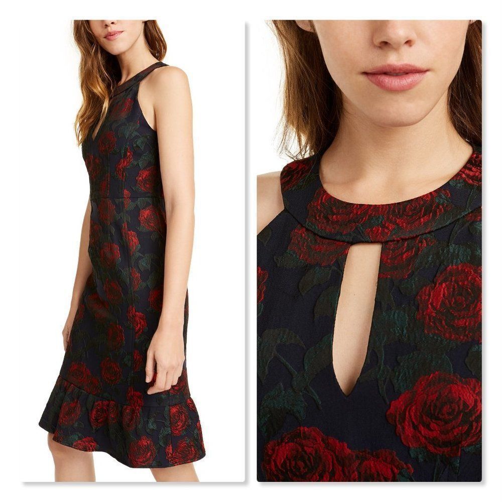 Nanette Leopore Ruffled Rose-Print Dress - NEW